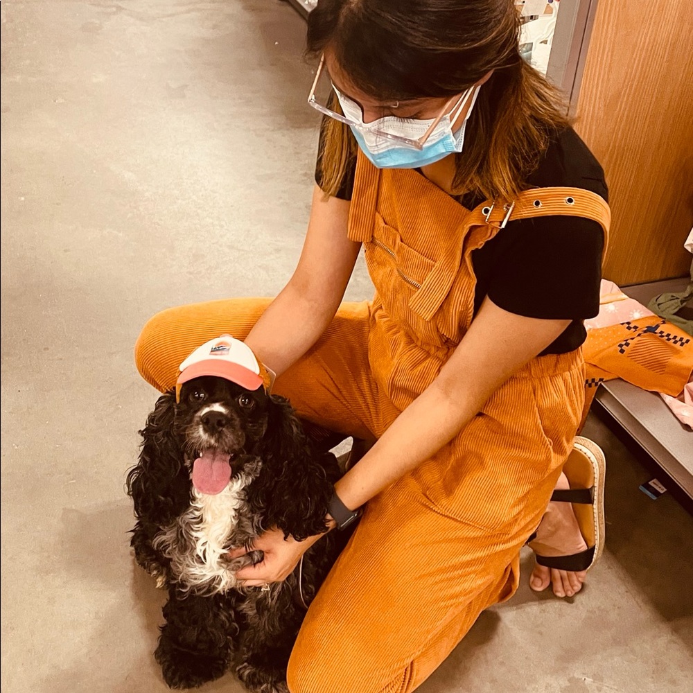 Meet your Posher, Kathie